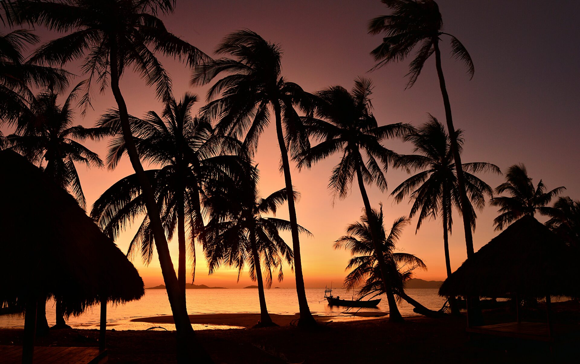 TEFL teachers can enjoy some well deserved time on palm tree beaches