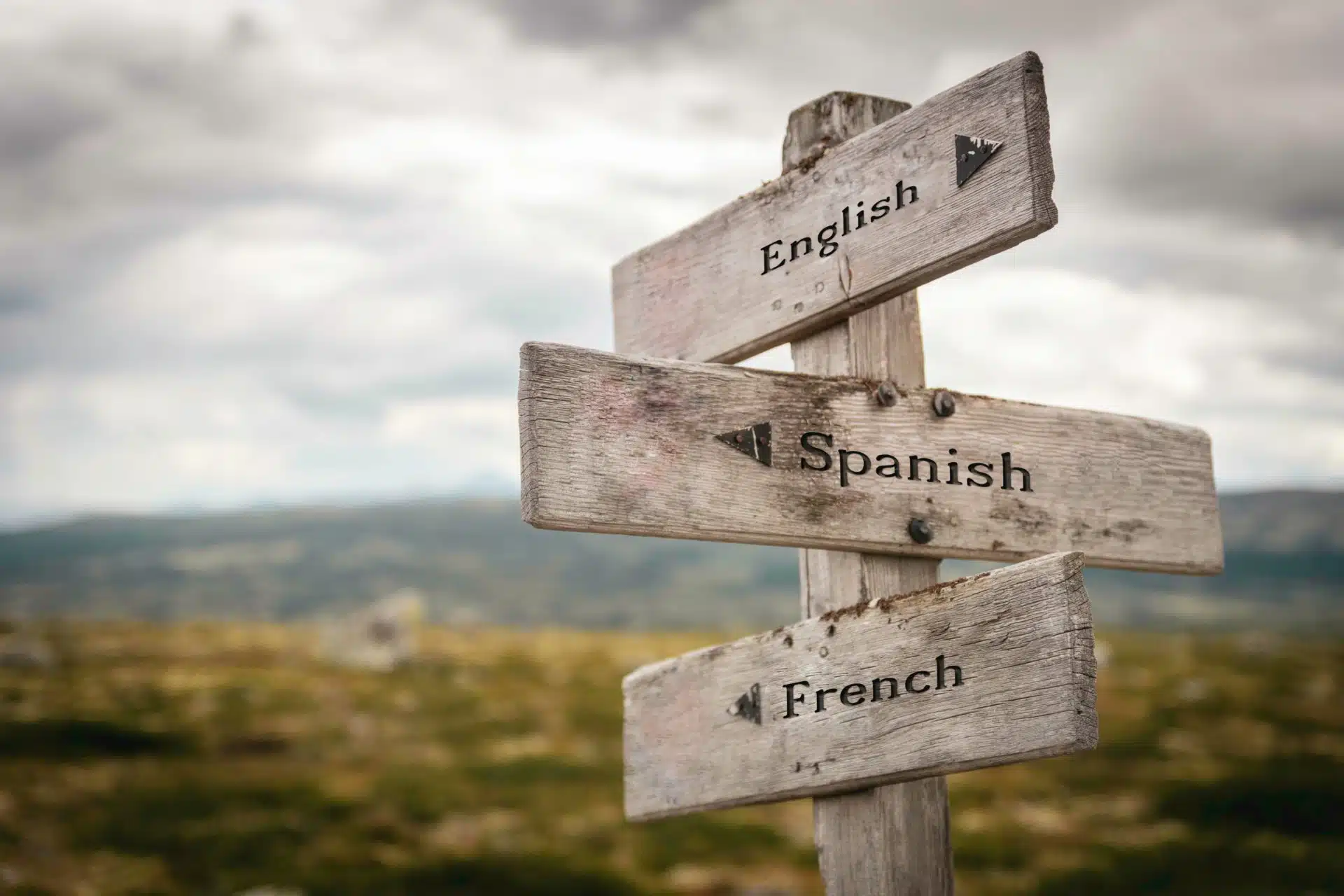 translation in the EFL classroom
