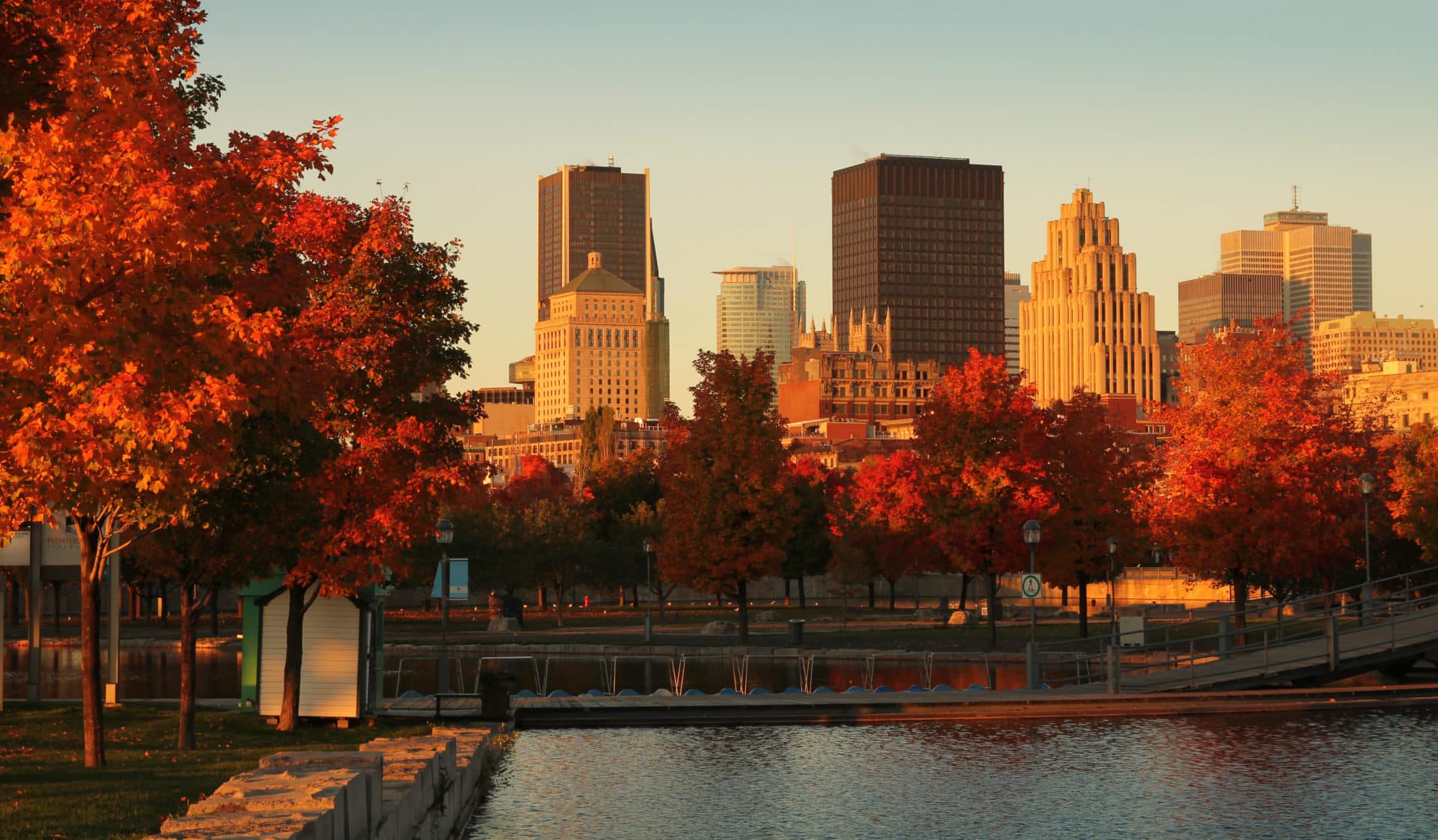 Montreal: a great destination for solo travellers