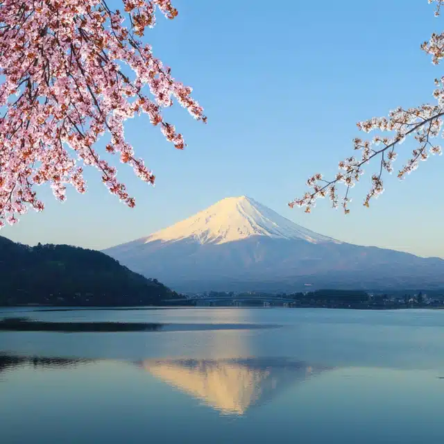 Interesting Facts About Japan You Probably Didn’t Know
