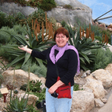 Judy Nel