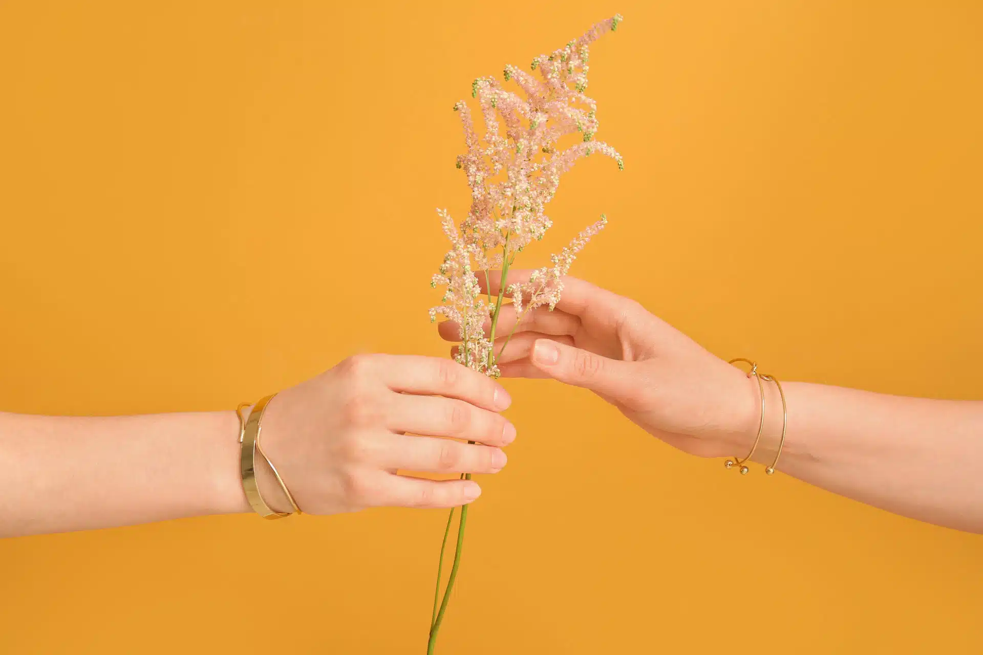 AdobeStock 374138204