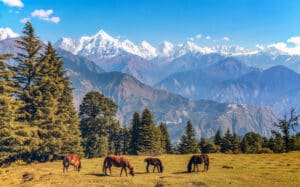 A view of horses in a small town