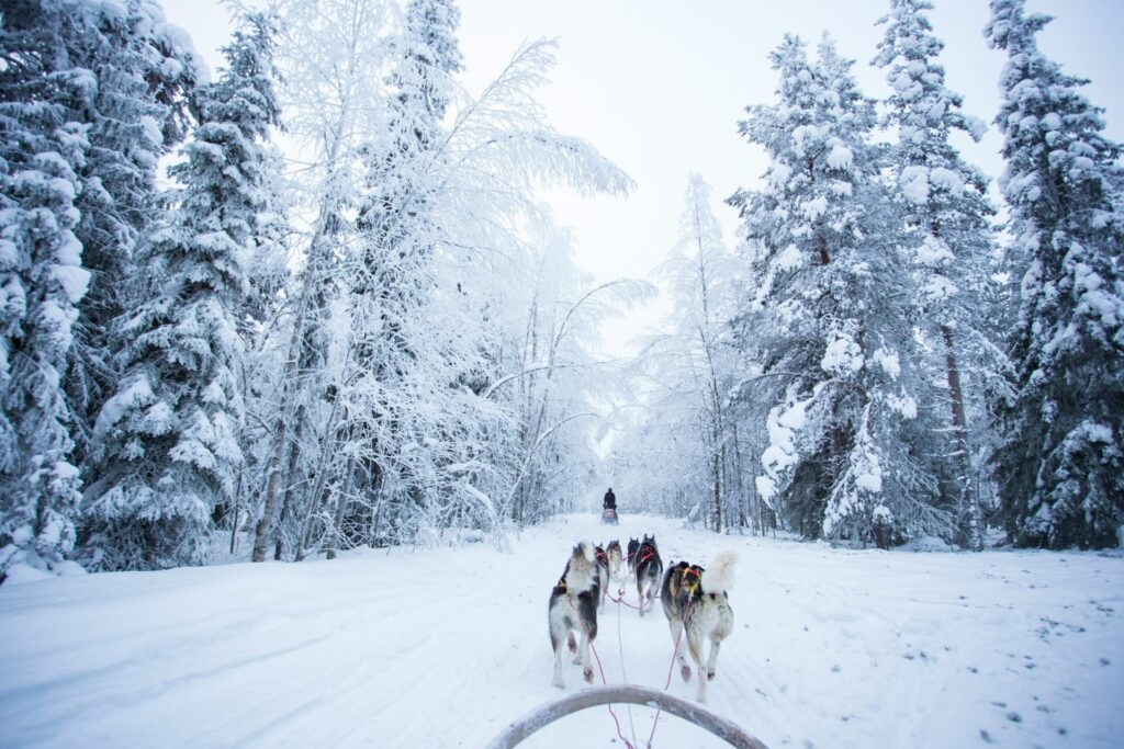 teach english finland