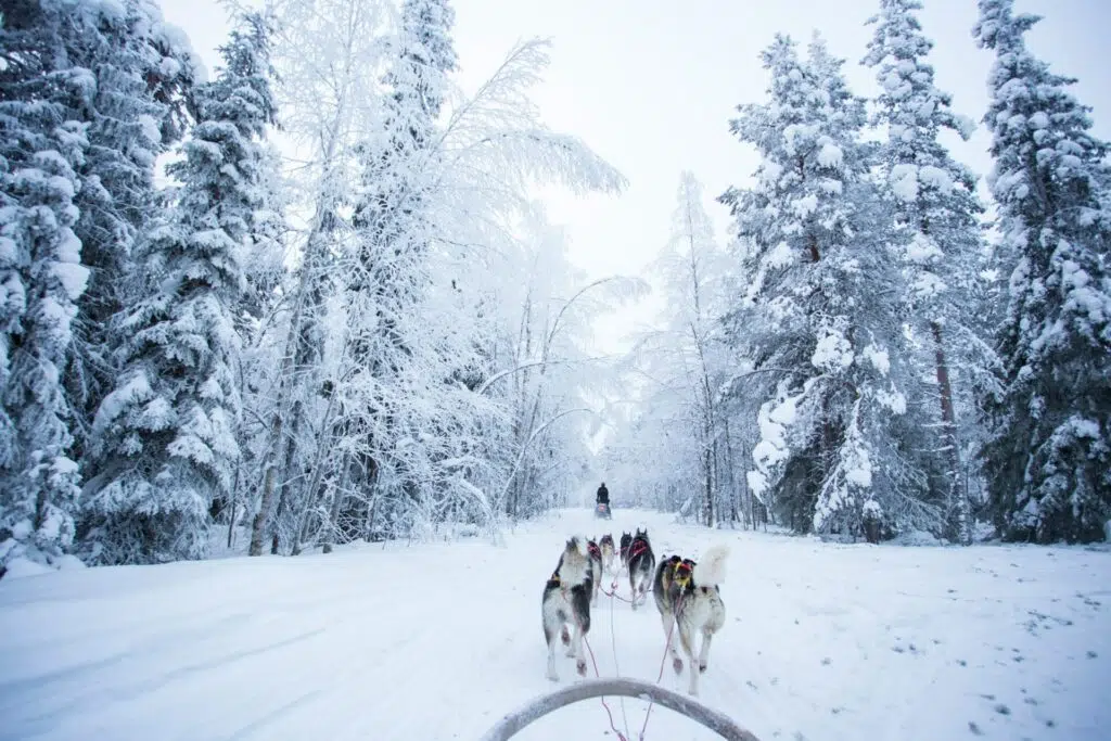 teach english finland