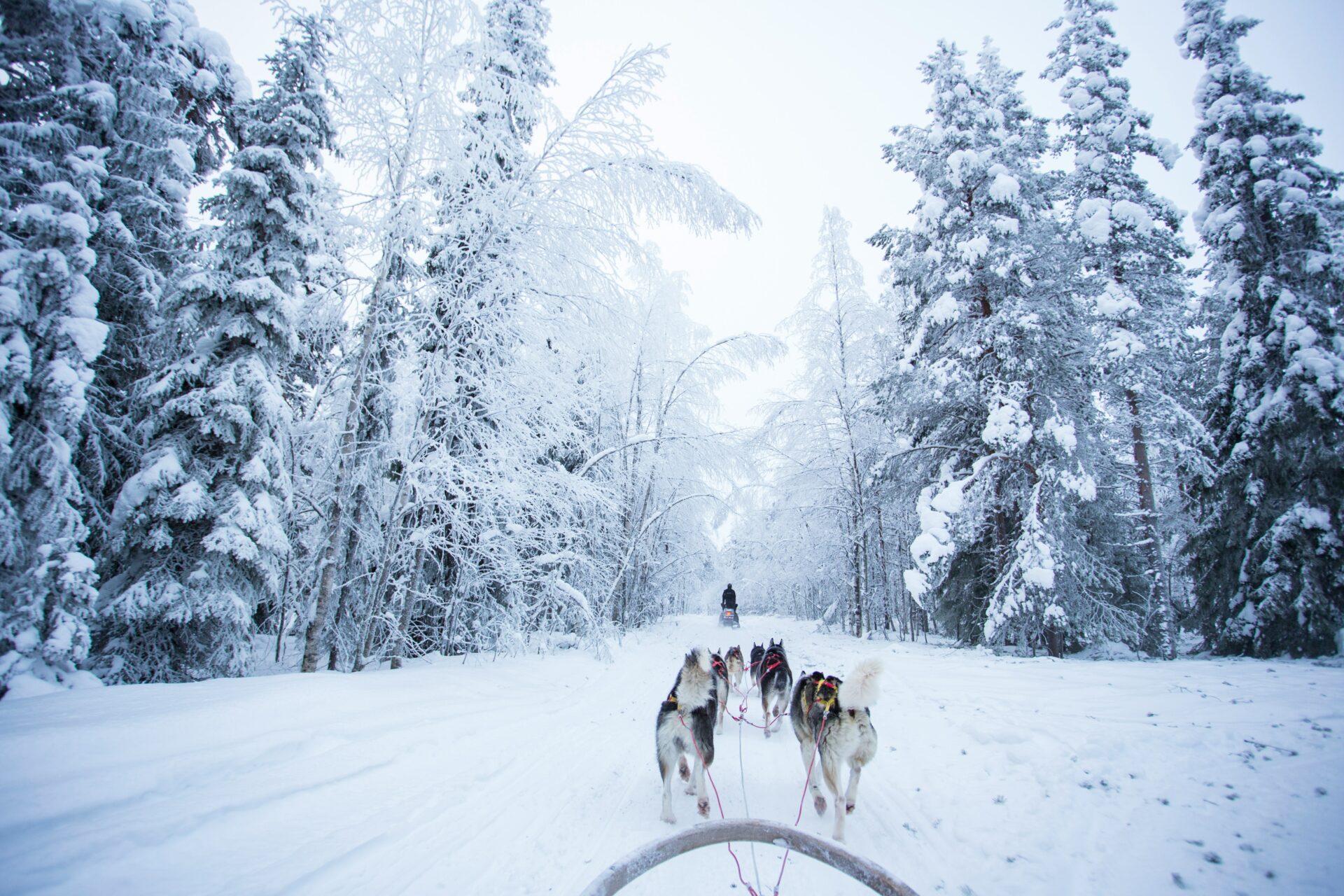 teach english finland