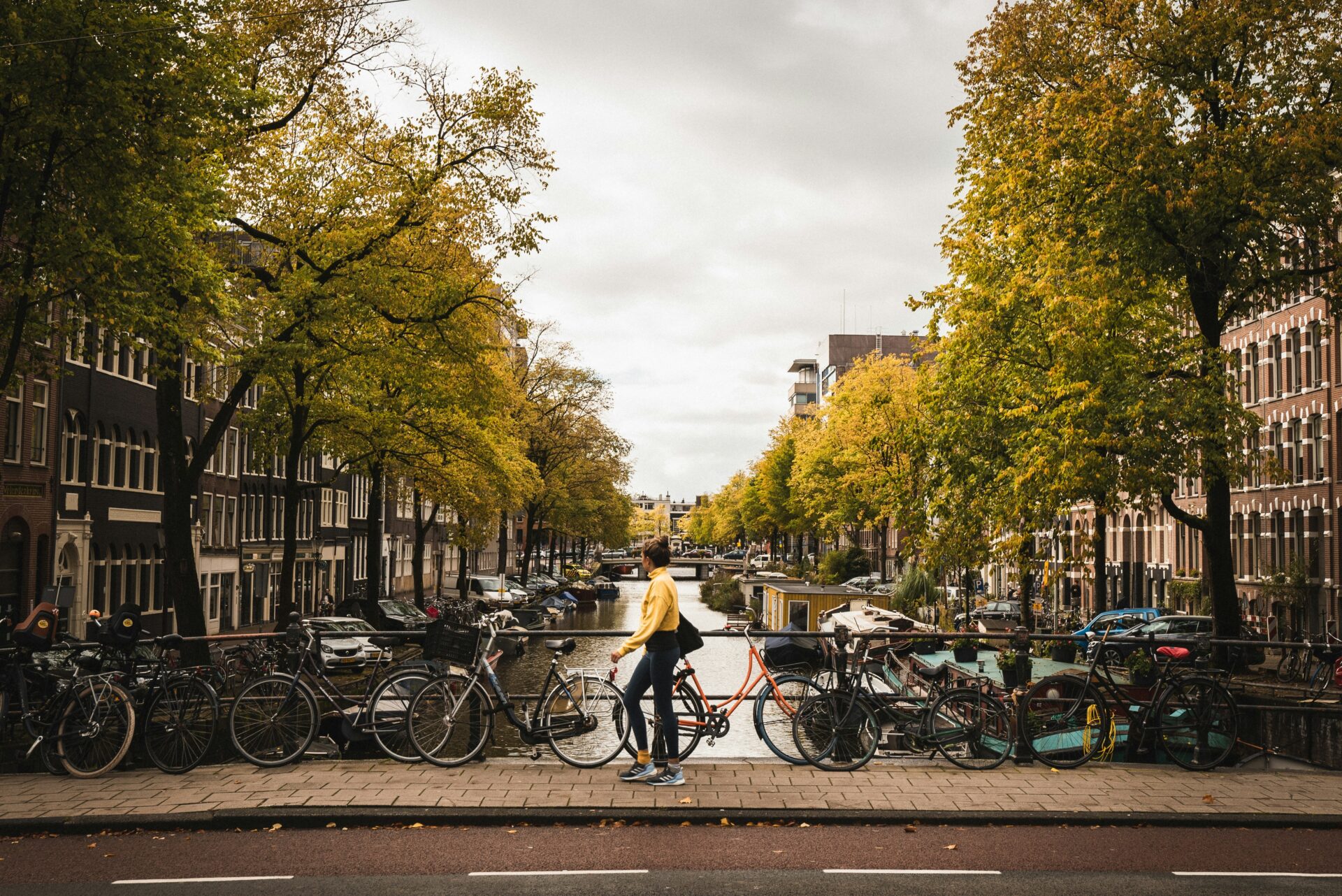teach english netherlands