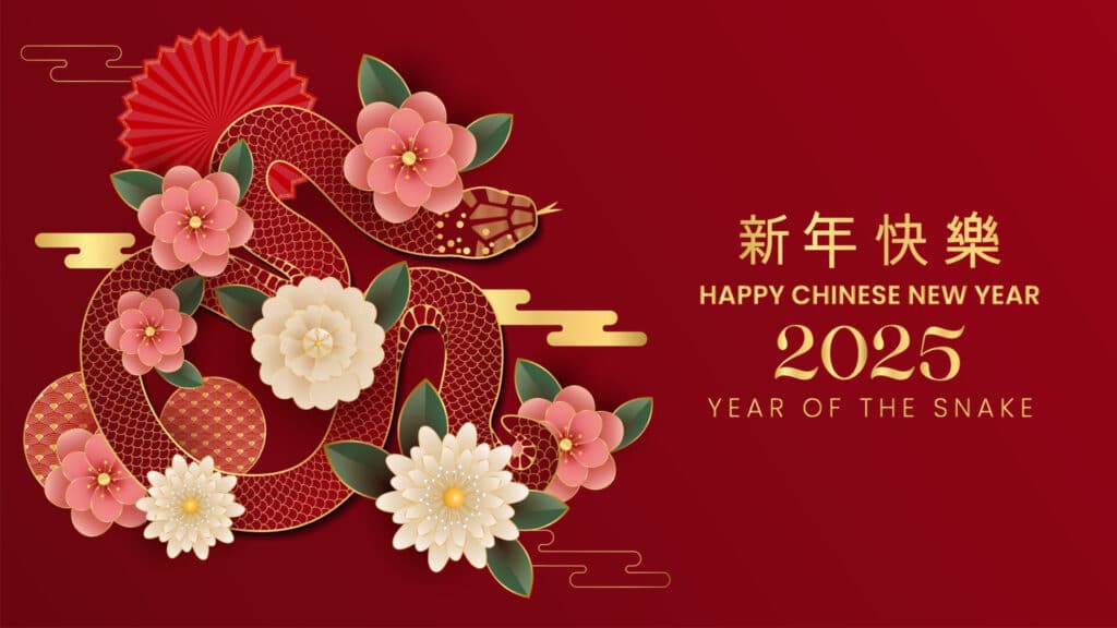Graphic for Chinese New Year 2025
