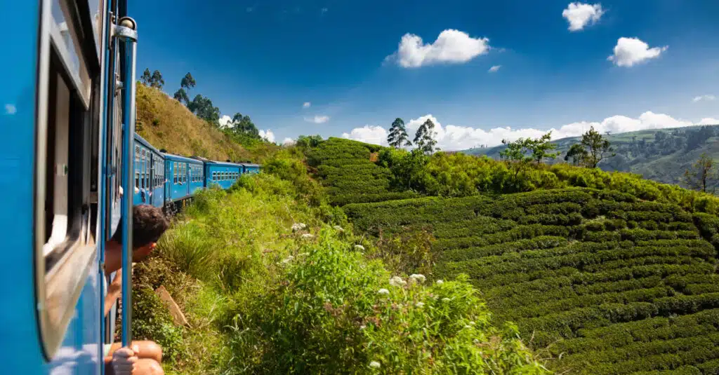 The famous blue train from Nuwara Eliya to Kandy among tea plantations in the highlands of Sri Lanka